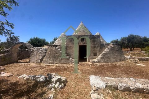 Ruinere i Carovigno, Brindisi, Carovigno - € 97.000 | Ref: Trullo Iovite - foto 13
